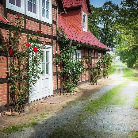 Hotel Landhaus Elbeflair Bei Doemitz Lenzerwische Zewnętrze zdjęcie