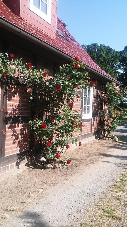 Hotel Landhaus Elbeflair Bei Doemitz Lenzerwische Zewnętrze zdjęcie